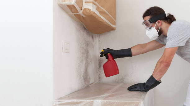 Professional Mold Remediation technician working in Chester, NY