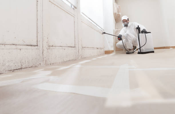 24/7 Emergency Mold Remediation experts in Chester, NY